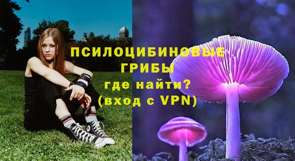 первитин Нязепетровск
