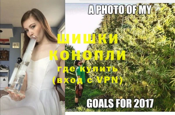 винт Алзамай