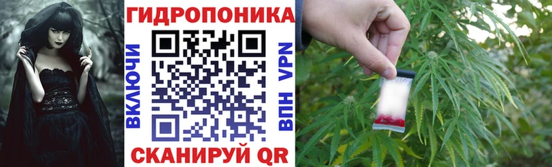 Шишки марихуана гибрид  наркошоп  Устюжна 